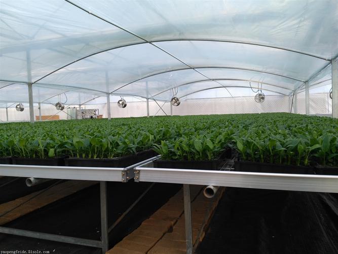 花卉種植純凈水處理設備